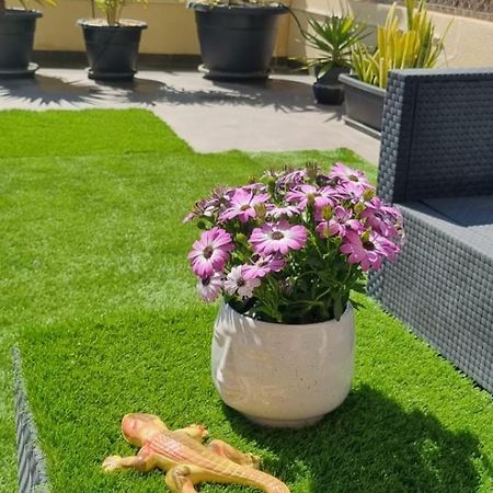 La Zenia Sabrina Apartment 5 אוריהואלה מראה חיצוני תמונה