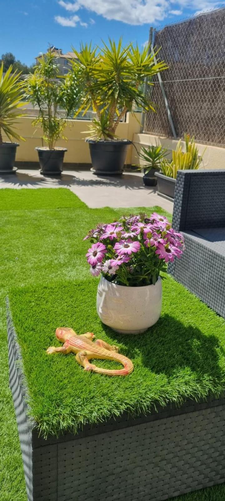 La Zenia Sabrina Apartment 5 אוריהואלה מראה חיצוני תמונה